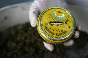 Iranian Caviar