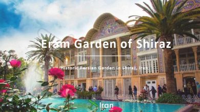 The Eram Garden of Shiraz